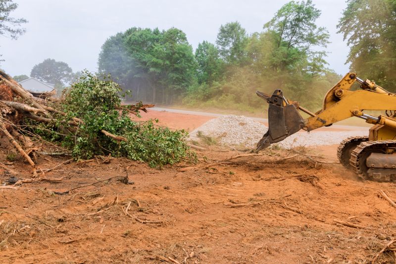 Easement Land Clearing in Gwinnett County, GA