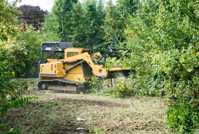 Ground Clearing in Marietta, GA