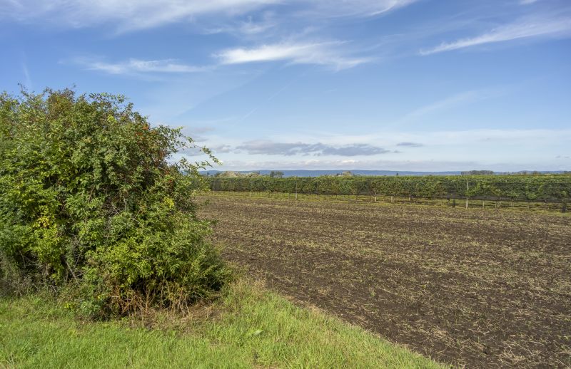 Pool Land Clearing in Cumming, GA