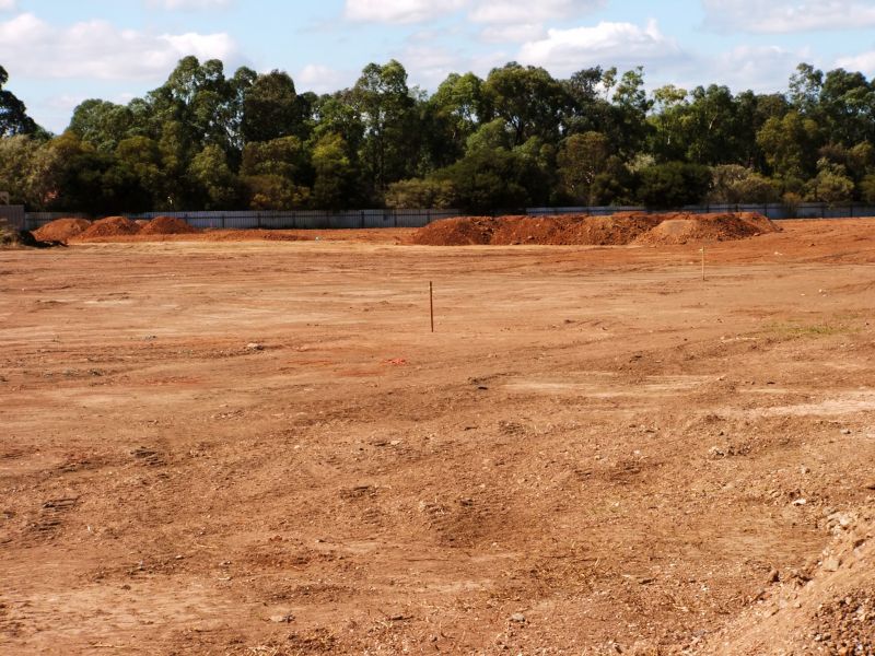 Property Line Clearing in Salt Lake City, UT