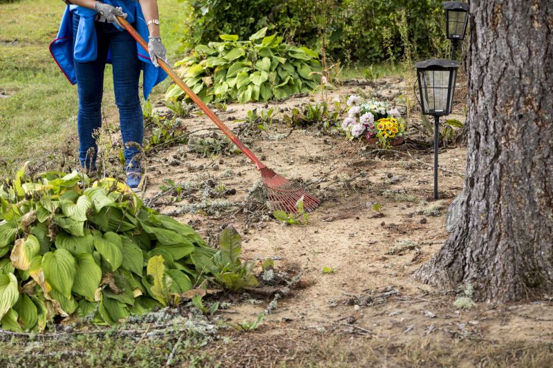 Site Cleaning in Cumming, GA