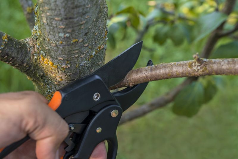Tree Removal Service in Montgomery County, PA